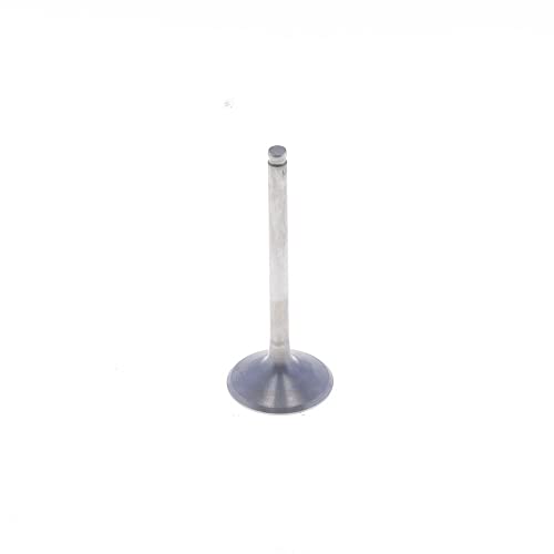 Athena Exhaust Valve: Quiet & Reliable Athena Exhaust Valve: Quiet & Reliable
