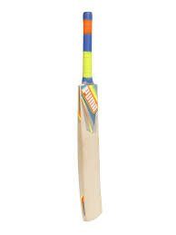 puma evospeed 2500 cricket bat