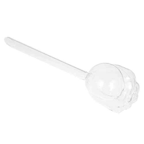 CIYODO Automatic Plant Watering Device Elegant Watering Bulb for Use Lightweight Design for Gardens Patios and Lawns Saving Watering