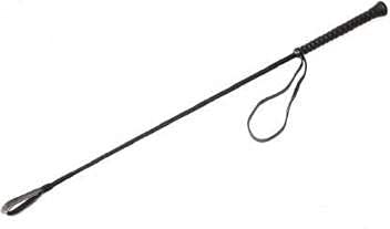 Kapoor Pets Nylon Stick for Dog (KP_1016) (B098DW27W4) Amazon Price History, Amazon Price Tracker