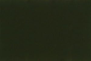 Japan Oil Color C.P. Green Dark 8 oz. Can