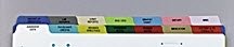 First Healthcare Products Divider Chart Poly Side O - M2460PK - 14 Tabs / Pack
