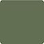 Sage Leaf