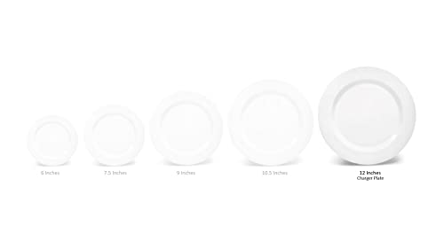 Platos desechables plásticos 12'' paquete 240 unidades miniatura 3
