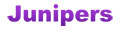 Junipers' logo