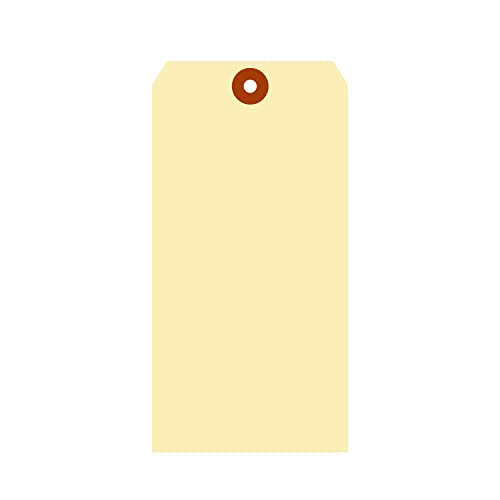 Smartsign Blank Manila Shipping Tags - Pack Of 100, Size-10, 15Pt Thick Cardstock Tag, 7.25 X 3.625 Inch Paper Hang Tags With Reinforced Fiber Patch (No Attachment) #TOP5