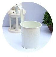 UBERSWEET Milk White10 Colors Metal Iron Flower Pot Tub Hanging