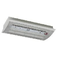 CEAG Style II 22011 luminaire d'évacuation LED 3x1W gris
