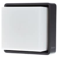 Zewnętrzna lampa ścienna LED Steinel L 845 SC z czujnikiem ruchu, inteligentna lampa ścienna, Bluetooth Mesh, sterowanie za pomocą aplikacji Connect