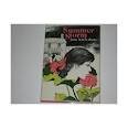 Hardcover Summer Storm Book