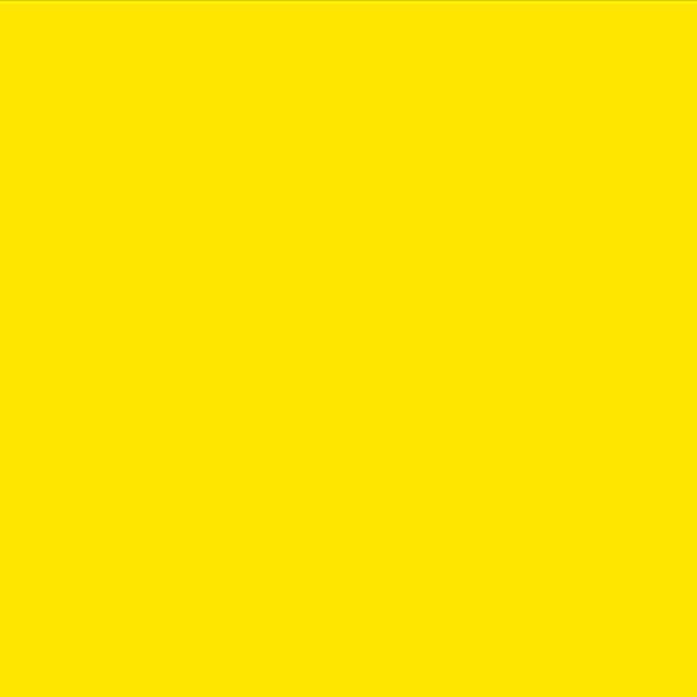 Faber-Castell Polychromos Colour Pencil Cedar Wood Cadmium Yellow For Artists