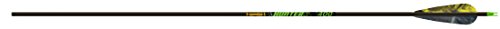 Gold Tip Hunter XT 500 Arrows with 4-Inch Feathers (1/2-Dozen)