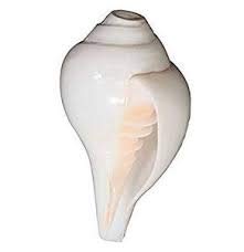 U.S. Shell 08462 Designer Shell Gift Bag