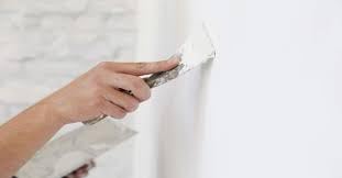 Image of True Colour Acrylic Wall Putty, white,1kg, Interior /Exterior Grade