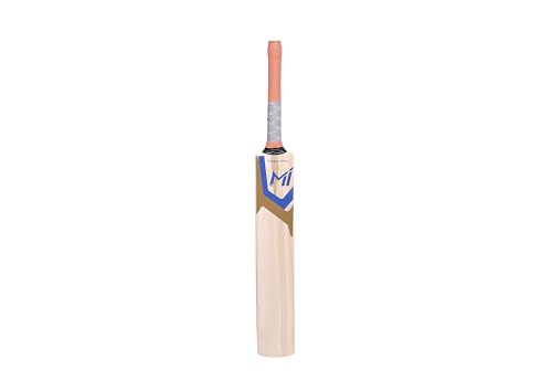 Image of playR Smart Kashmir Willow Bat - Cricket Bat for Leather Ball, High Performance Cricket bat for Power Shots, Lightweight for Training, Casual, Club Matches for All Season