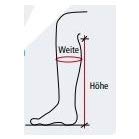 Busse