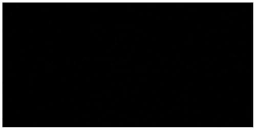 Allstar Performance ALL22248 4 x 8 ft 0.070 in Black Plastic