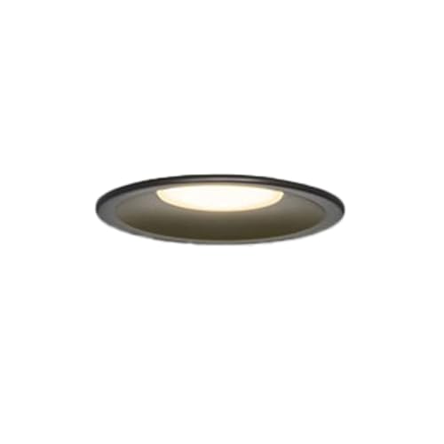 ���� �Z��p�Ɩ���� �������A�E�g�h�A�_�E�����C�g LED��̌` ��������100mm ���M�����100W�N���X �d���F(2700K) ��(�u���b�N) LEDD87053L(K)-LS
