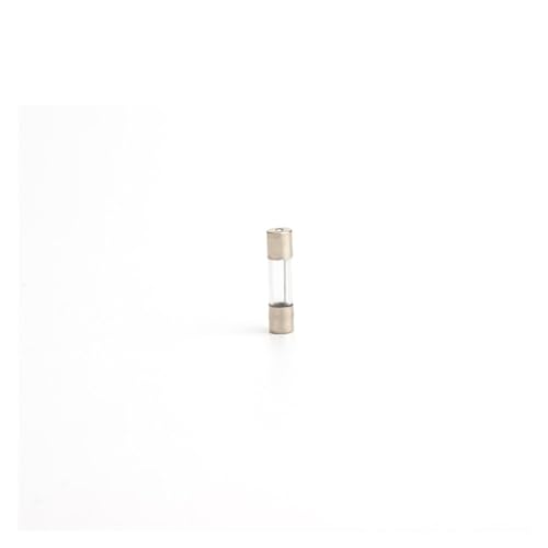 Kit de 10 fusibles de vidrio de acción rápida 5 x 20 mm 250V 0.1A - 30A variadas miniatura 2