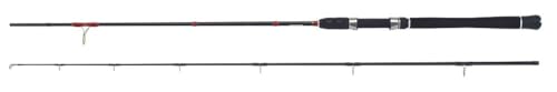 WFT Lord of The Fjord Salzwasser-Spinnrute, 2,20m, Kohlefaser, 2-teilig, LTC Sport Ringe, Moosgummi-Griff, für Bootsangeln, Zielfischruten für Norwegen (Dorsch)