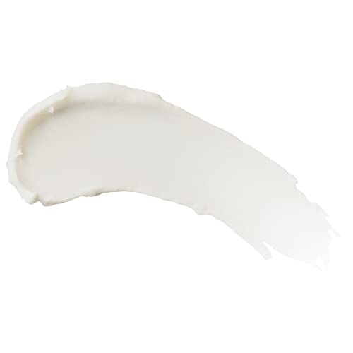 Burt's Bees Orange Blossom and Pistachio Hand Cream with Shea Butter, 1 Ounce