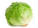 3000 Iceberg Head Lettuce Lactuca Sativa Vegetable Seeds