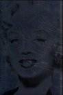  Marilyn Monroe and the Camera (Photography)