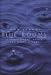 Blue Rooms: Ripples, Rivers, Pools, and Other Waters