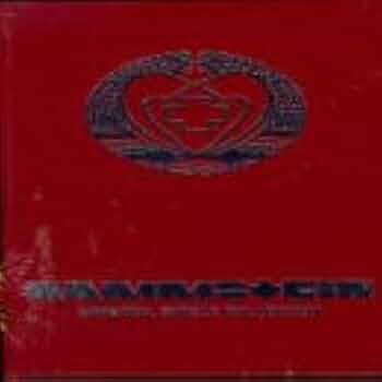 Rammstein レコード3枚セット Rammstein レコード3枚セット Rammstein Box Set | eBay