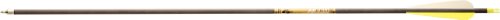 Gold Tip XT Hunter 7595/340 Carbon Arrows with 4-Inch Vanes (Pack of 12), Black