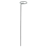 Regenschutz Blumenkasten Plant Support Pakes Garden Single Flower STEM amarylliss Plant Käfig für Orchidee Lily Pfingstrose Dunkelgrün (A, One Size)