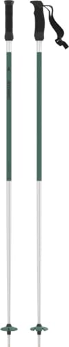 ATOMIC REDSTER Q Green./Silver - Bastone da sci Unisex - Adulto, Green/Silver, 125 -