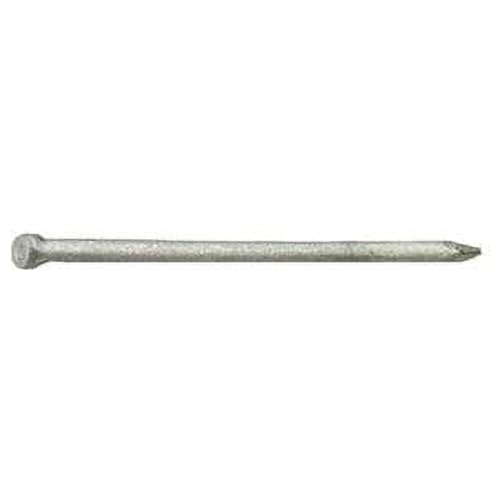 12D 3.75 in. 1 lbs Common Hot-Dipped Galvanized Steel Nail Flat - Pack of 12