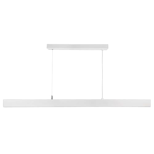 Deko-Light Pendelleuchte, D Profession Up and Down + Netzgerät 1-10V, 200-240V AC/50-60Hz, 60,00 W