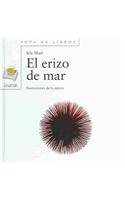 El erizo de mar / The Sea urchin