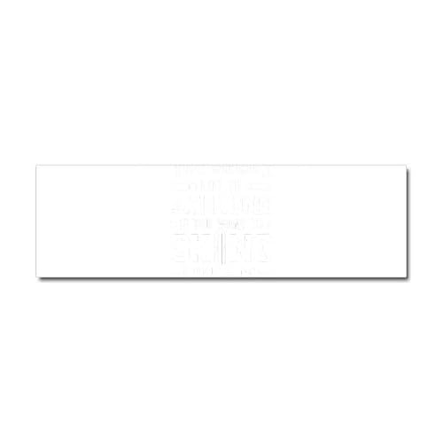 CafePress Skiier Bumper Magnet 10" x 3