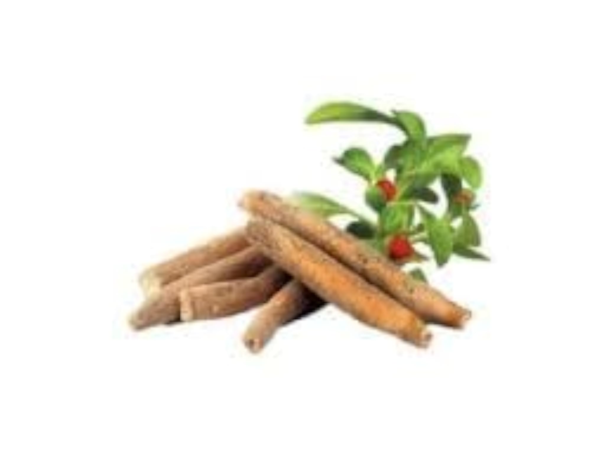 Ashwagandha Root Stick for Natural Stress Relief