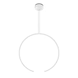 Vivida International