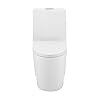 St. Tropez One Piece Elongated Toilet Dual Vortex Flush 1.1/1.6 gpf with 10" Rough In