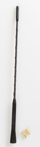 Antenna Auto Lunghezza 30Cm