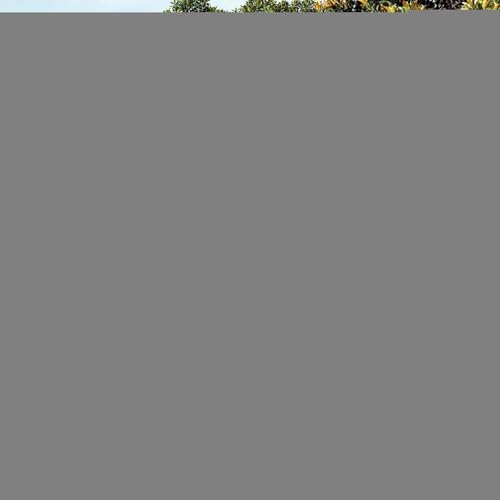 Tissu de rechange rectangulaire pour parasol 2x3m anti-UV