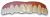 Imako Cosmetic Teeth 1 Pack. (Small, Bleached) Uppers Only- Arrives Flat. Fit at Home Do it Yourself Smile Makeover!