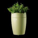 Sprout Essential Oil Ultrasonic Aroma Diffuser (PZ-UA05G), Green