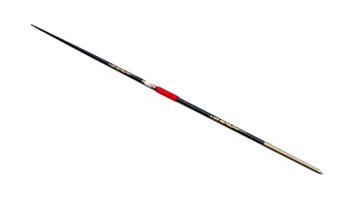 Polanik Jabalina de competición CA19 Premium Line Carbon Jabalina de Lanzamiento - 600 g Cover