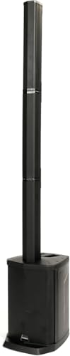 WOODBRASS CS200 Aktiv-Lautsprecher Boxen, verstärkt, leistungsstark, Bluetooth, 200 W – Class-D 105 dB – mobiler Sono, robust, kompakt, leistungsstark, 5 Eingänge, kabellos, DSP – DJ, Party, Konferenz