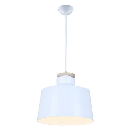 Lampe Suspendue Moderne Sombre 11,8 Pouces avec Base E27 pour Éclairage de Salon