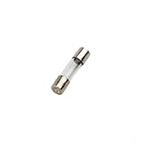 FACAIIO Glassicherungs-Set, 5 mm x 20 mm, 250 V, flach, 100-teiliges Set mit 0,2 A bis 20 A Stromoptionen