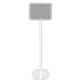 Produktbild Vebos Standfuß Home 250 weiß - kompatibel mit Denon Home 250