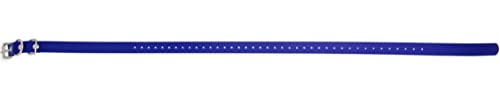 Educator Biothane Collar, 3/4-Inch, Blue - Image 4