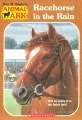 Horse & Pony set (Racehorse in the Rain, Ponies at the Point, Mare in the Meadow, Foals in the Field) (Animal Ark) 0439880548 Book Cover